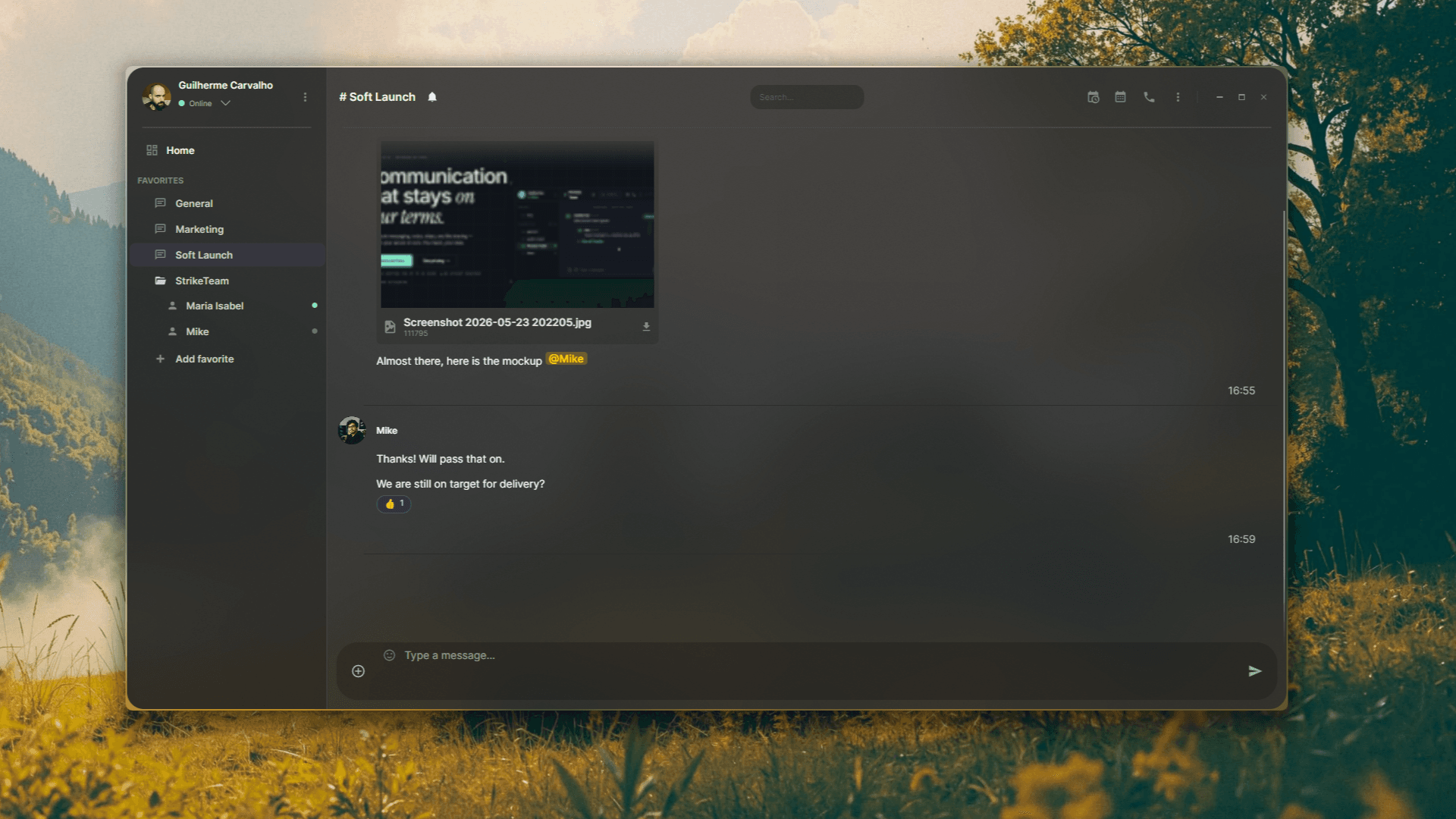 TheChatApp team chat screen